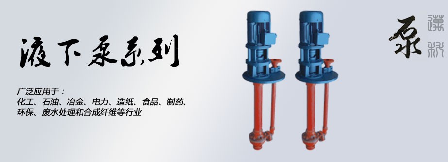 液下泵